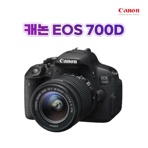 필수 구매 dslr 구매자 가이드